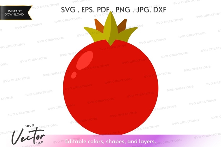 Tomato Illustration Image 11