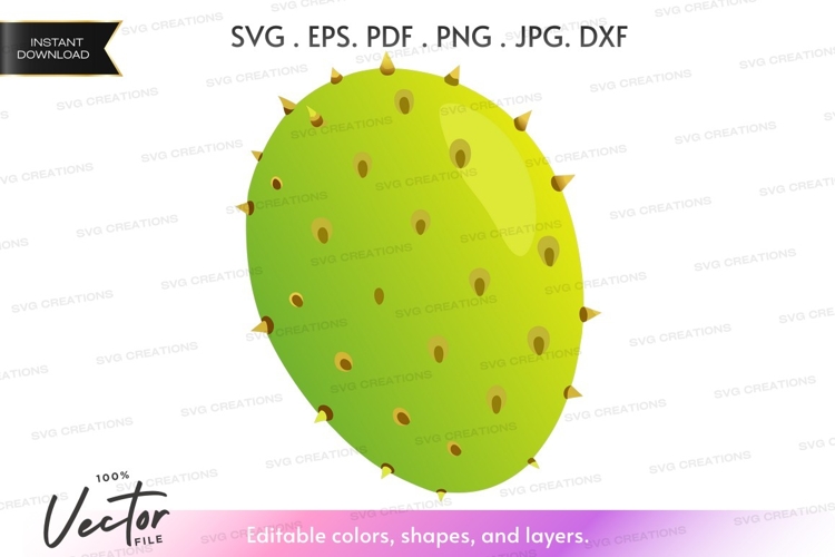 Cactus Clipart Image 15