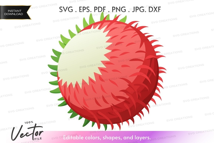 Fruit Vector Image 3