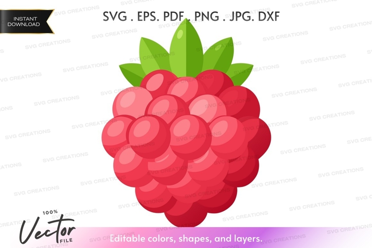 Raspberry Illustration Image 11