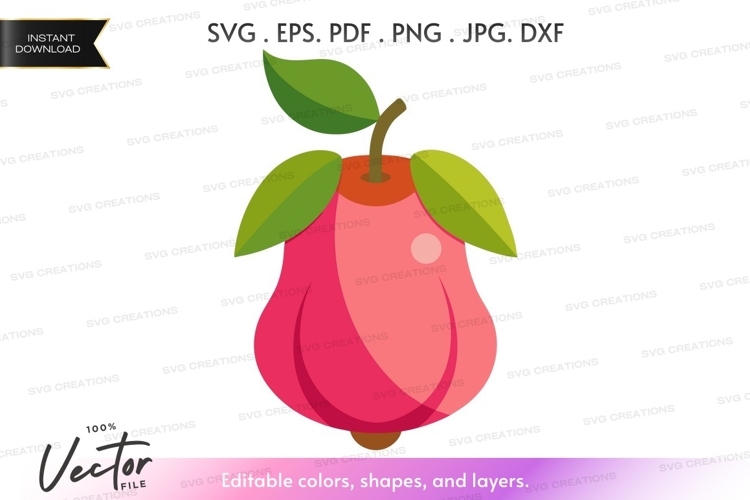 Fruit Vector