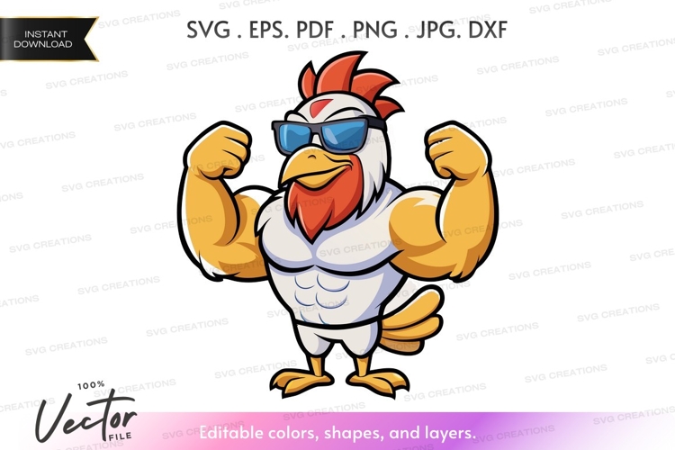 Chicken Vector