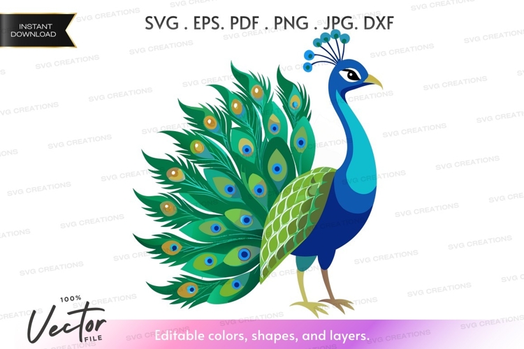 Feathers Png Image 9