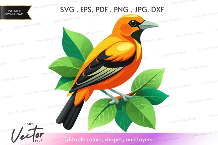 Vibrant bird on a branch