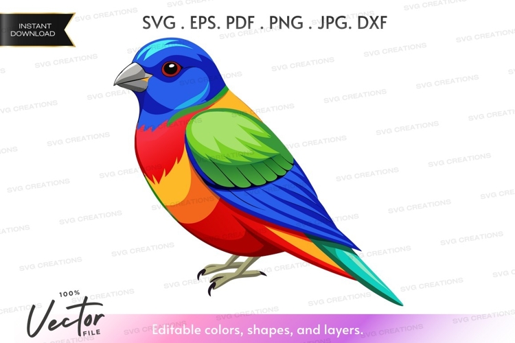 Colorful parrot silhouette png
