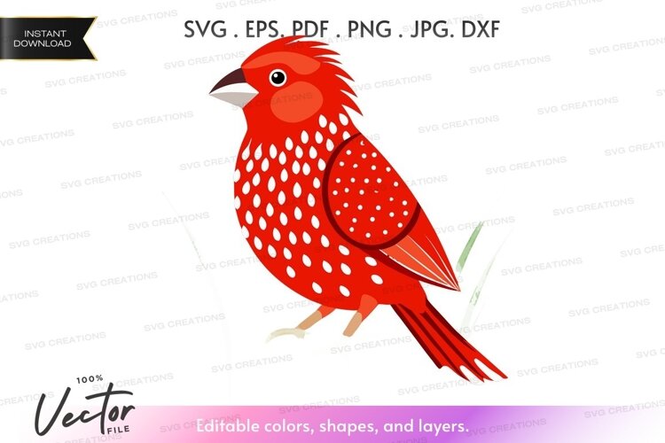 Red bird with white spots example image 1