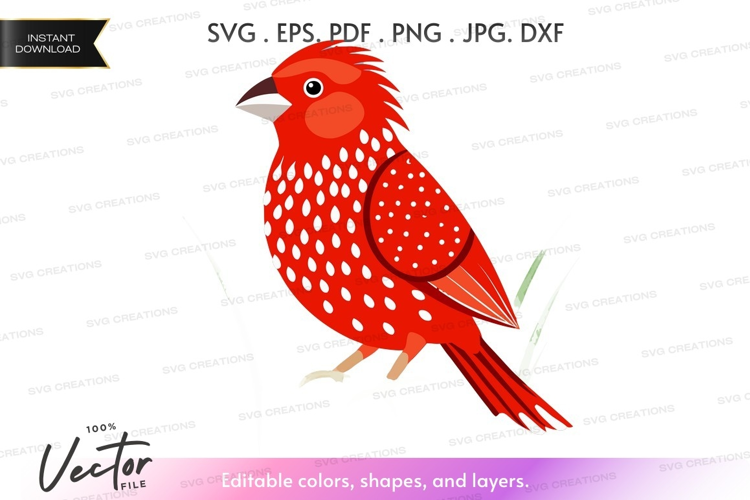 Red bird with white spots
