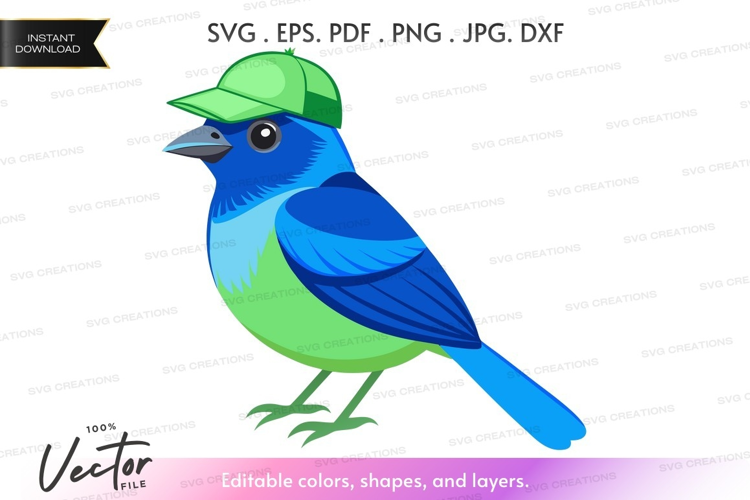 Colorful bird with cap