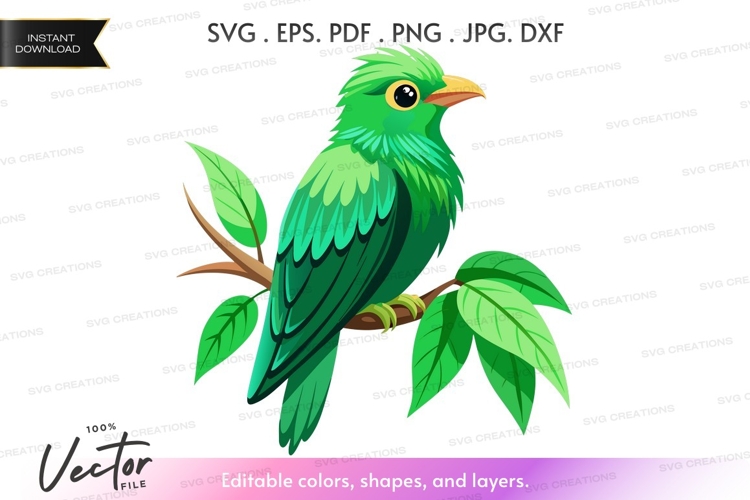 Green parrot on a branch