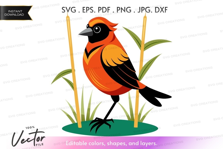 Grass Vector Image 24