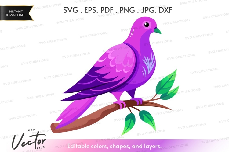 Dove Illustration Image 17