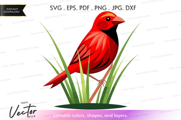 Grass Vector Image 23