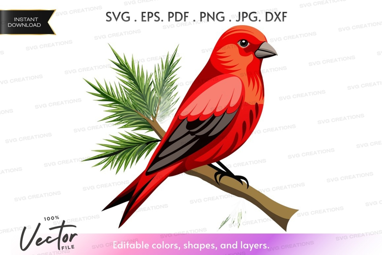 Red bird on a branch
