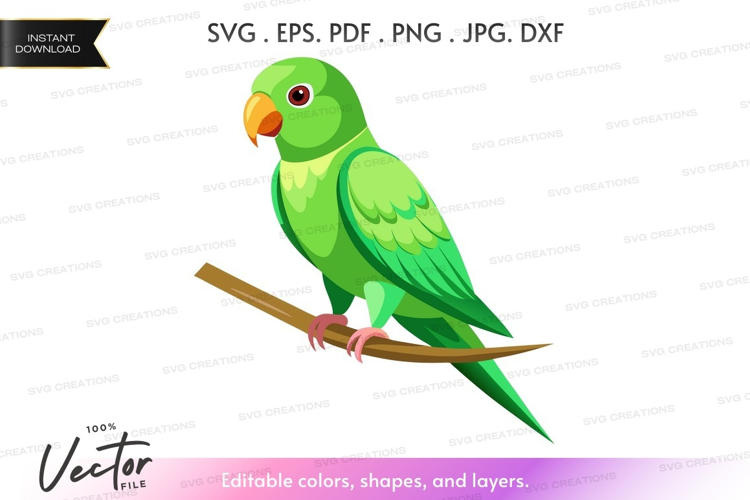 Green parrot on a branch