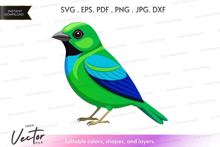 Vector silhouette of a colorful bird