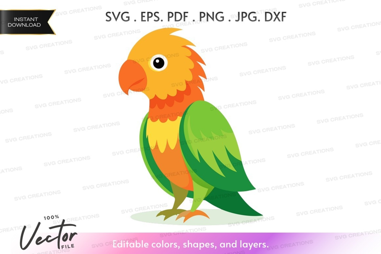 Colorful parrot