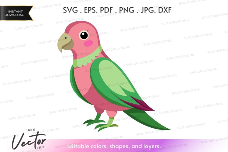 Cute parrot with accessory