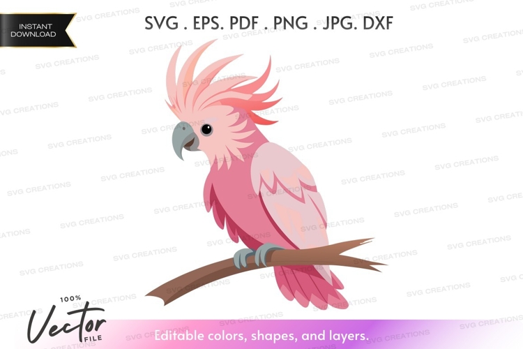 Pink cockatoo on a branch