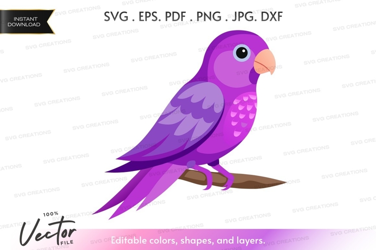 Purple parrot on a branch