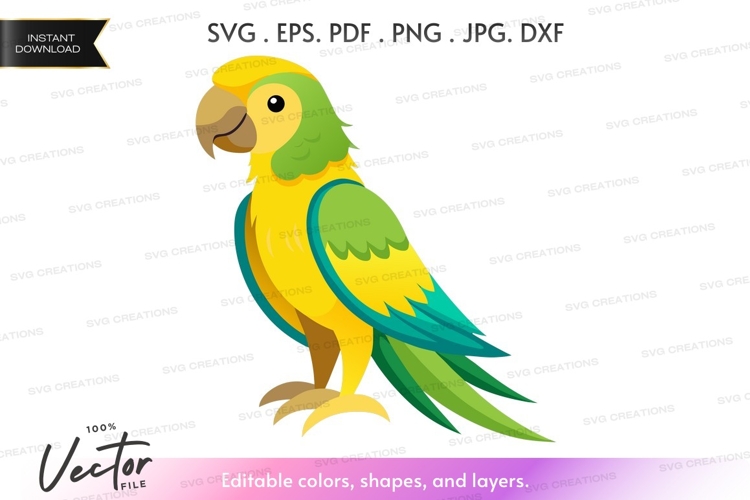 Colorful parrot silhouette