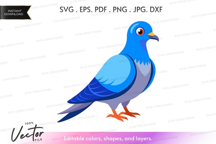Pigeon Illustration Image 10