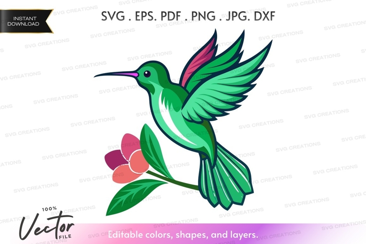 Hummingbird Vector Image 7