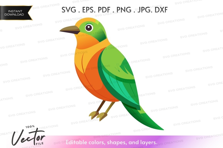 Colorful bird silhouette