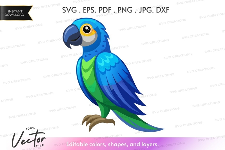 Parrot Illustration Image 24