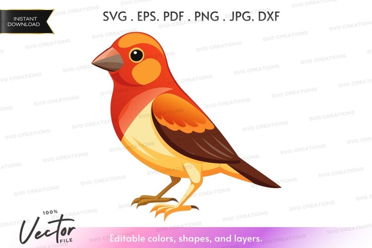 Hummingbird Vector Image 10