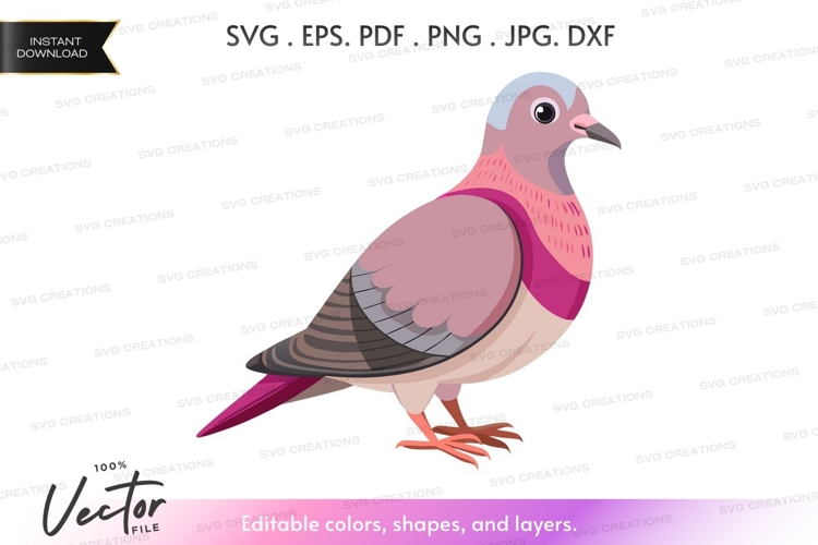 Dove Illustration Image 18