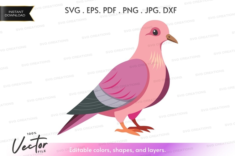 Dove Vector Image 10