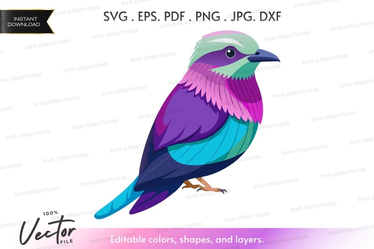 Colorful bird silhouette