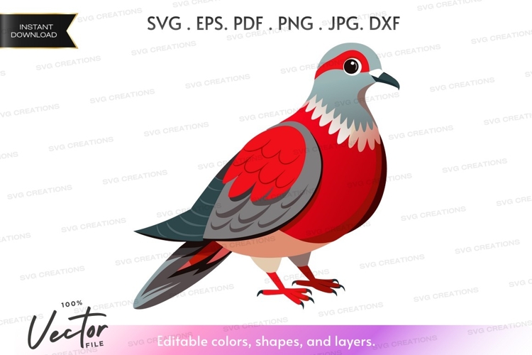 Bird Vector Image 6