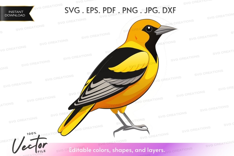 Bird Vector Image 9