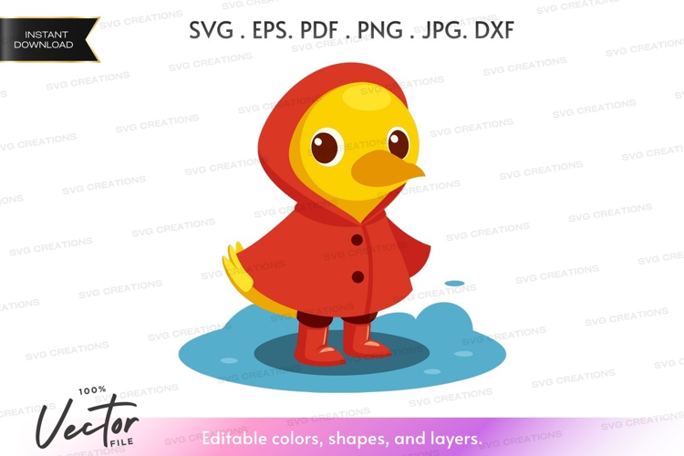 Duckling in raincoat