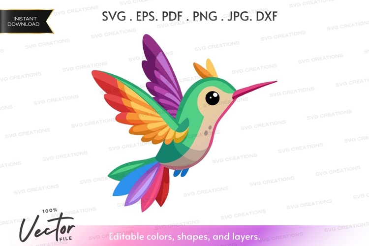 Hummingbird Illustration Image 15