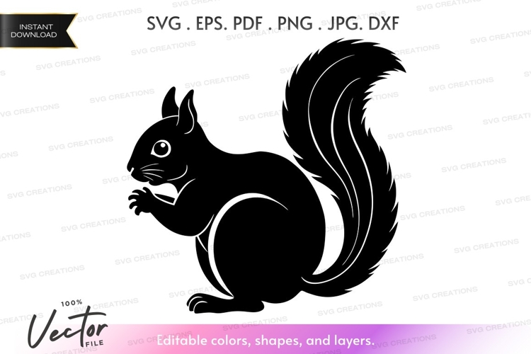 Squirrel Vector Image 22