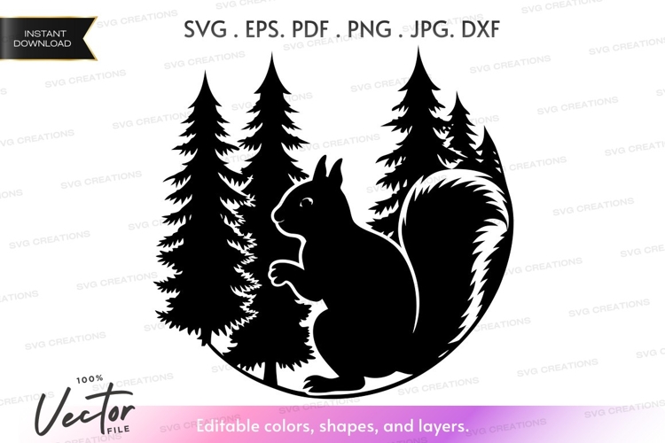 Squirrel Vector Image 18