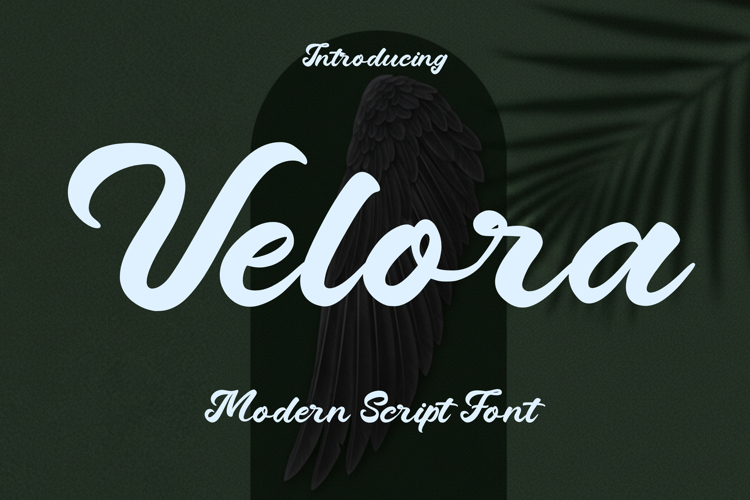Velora - Modern Script Font