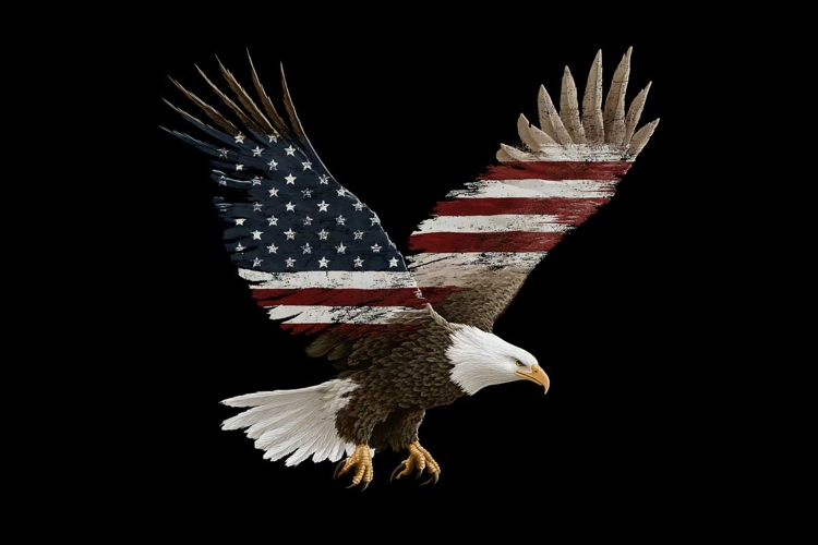 Eagle Clipart Image 14