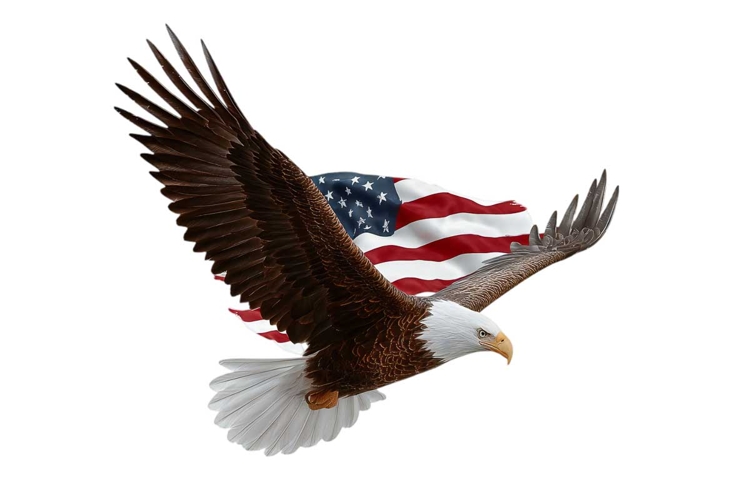 Eagle Clipart Image 10