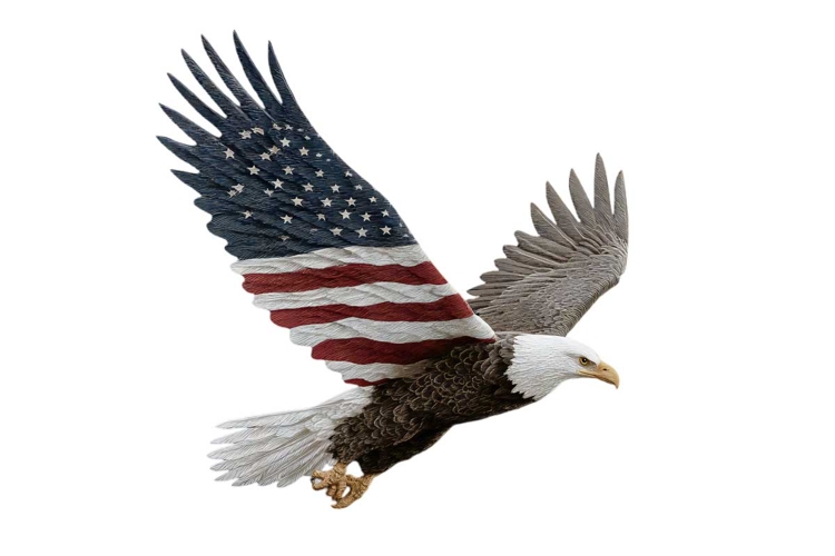 American Eagle Flag Patriotic 4th of July Png