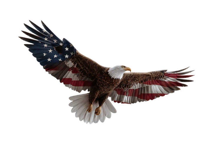 Patriotic Clipart Image 22