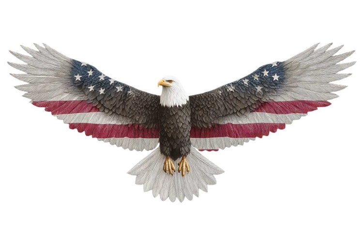 Patriotic Clipart Image 8
