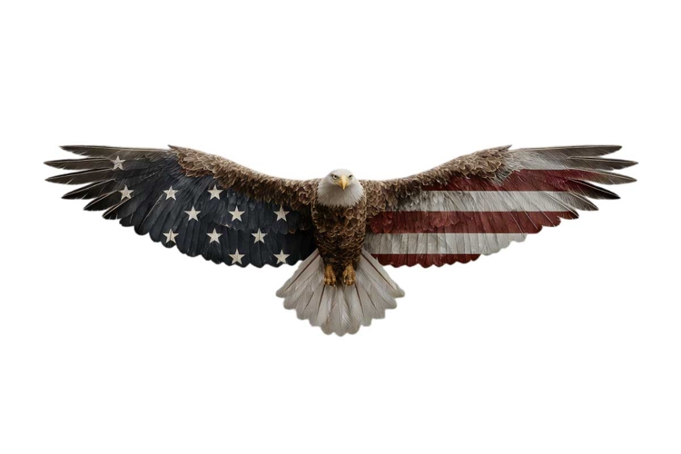 Eagle Clipart Image 21