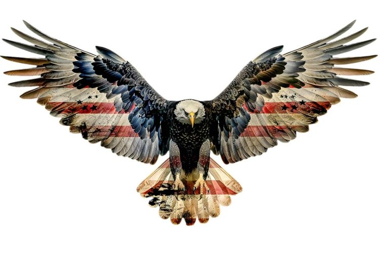 American Eagle Clipart Image 2