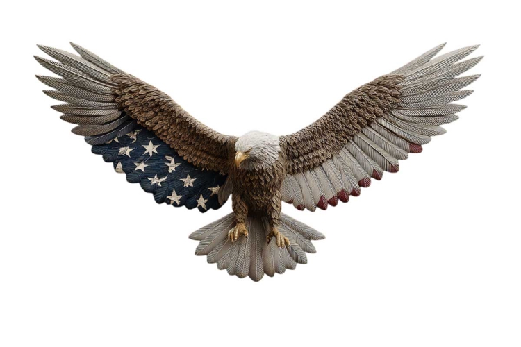 Eagle Clipart 4th of July PNG