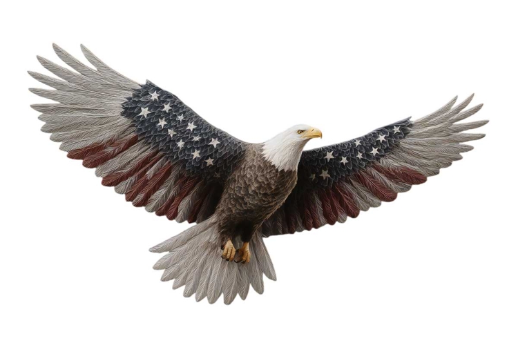 American Eagle Flag Patriotic 4th of July Png