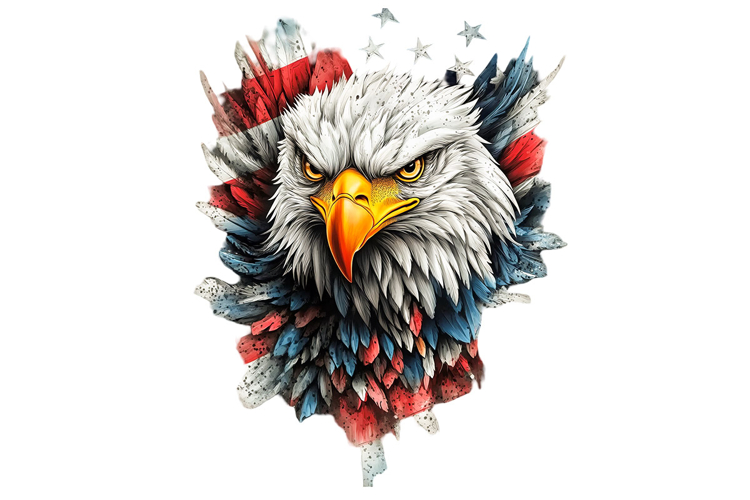 Patriotic Clipart Image 16