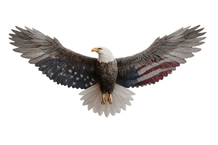 American Eagle Flag Patriotic 4th of July Png